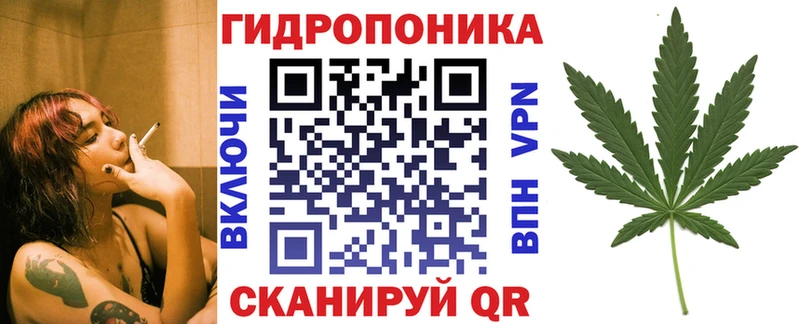 Конопля гибрид  Псков 